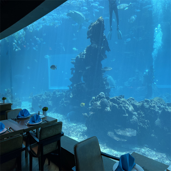 ИСТОРИЯТА НА ПОДВОДНОТО ЯДЕНЕ