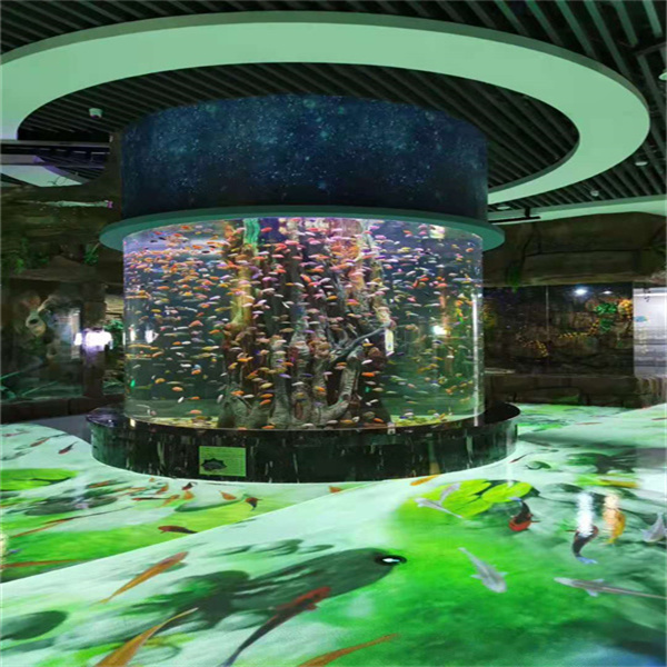 Trasforma la tua casa in un'oasi marina con un acquario per pesci di grandi dimensioni