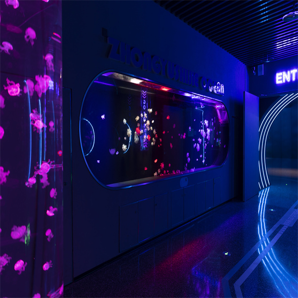 O Acuario Cilíndrico Fai que o Teu Espazo de Vida Sexa Melhor