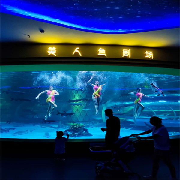 Dagli splendidi squali ai colorati pagliacci