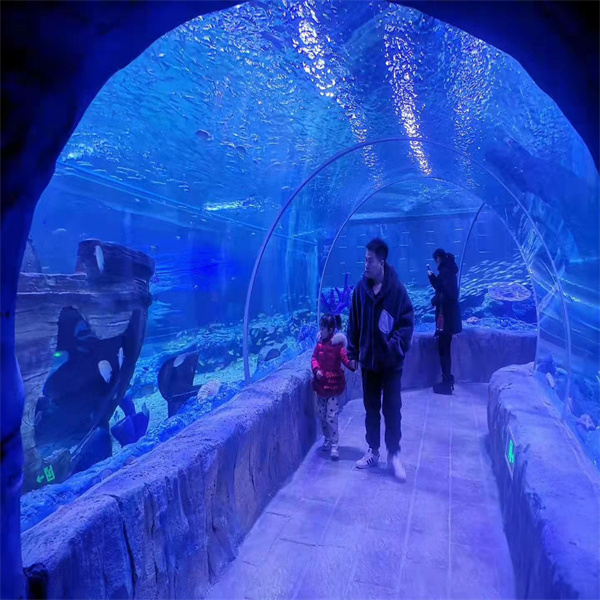 Aquariums-tunnels : fonctionnalités immersives