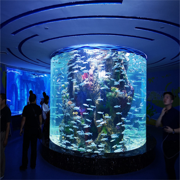 Destaca con un Acuario de Acrílico a Medida