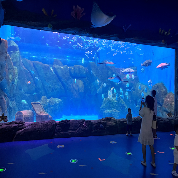 Améliorez votre aquarium avec des feuilles acryliques de haute qualité