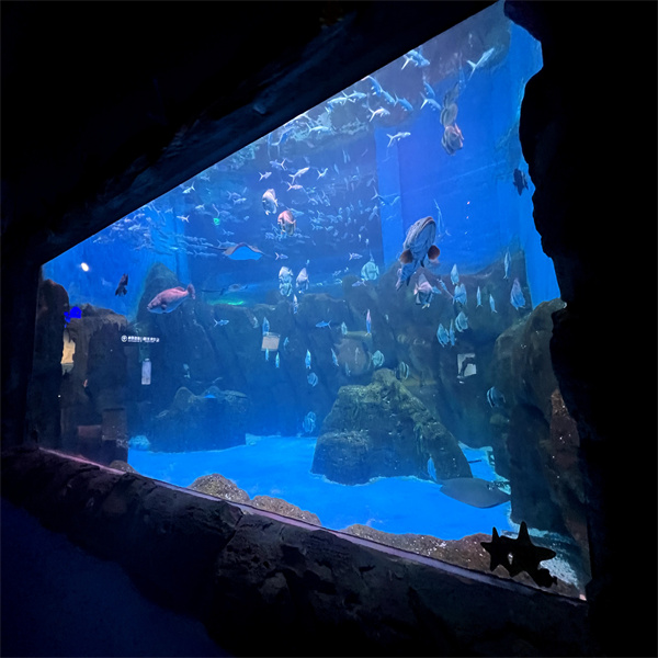 Sådan vedligeholder og plejer du korrekt en stor cylinderakvarietank