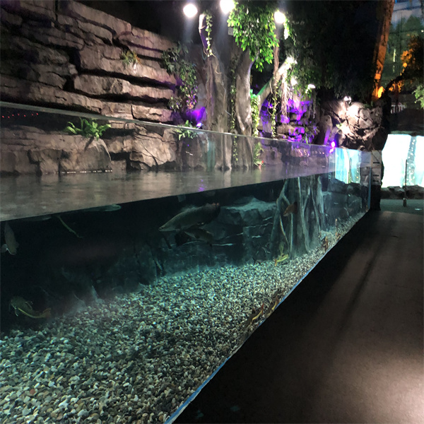 Utilizzi Diversi degli Acquari: