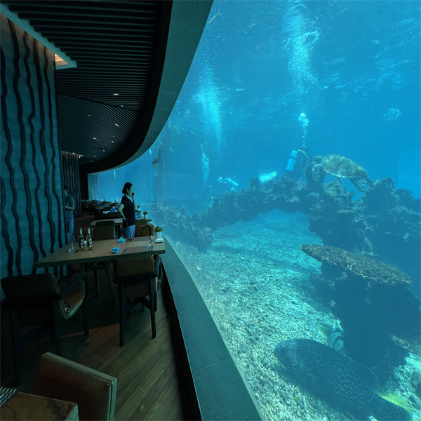 Погълнете магията на подводното ядене