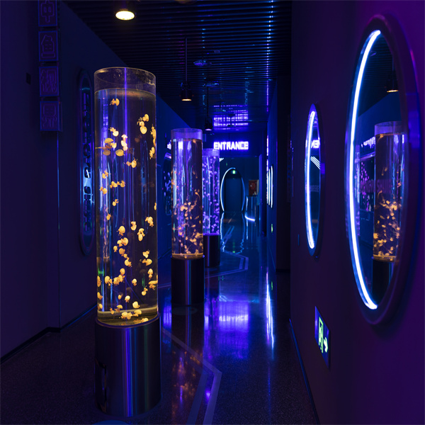 Mergullando na Calma dun Acuario Cilíndrico