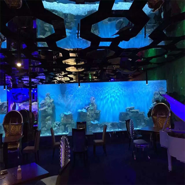 Trải Nghiệm Phố Đi Bộ từ Bên Trong Tòa Nhà Nhà Hàng Thủy Cung