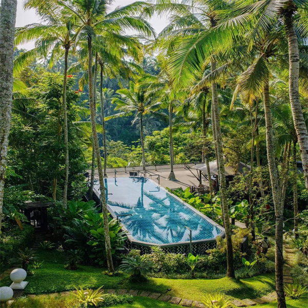 เปลี่ยนสระว่ายน้ำของคุณให้กลายเป็นโอเอซิสสุดพิเศษด้วยหน้าต่างอะคริลิก