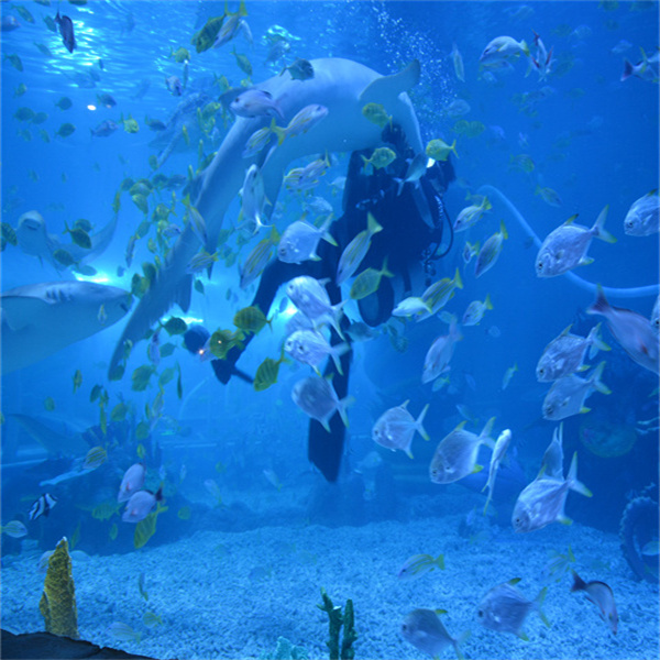 האקווריום ההמונטי של מים מתוקים