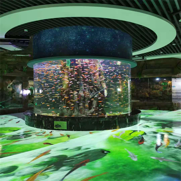 Como Escolher o Aquário Cilíndrico Perfeito Para a Sua Casa