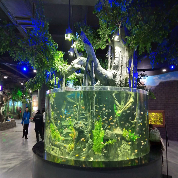 Fàcil manteniment i qualitat duradora dels tancs per a peixos fets amb làmines d'acrílic