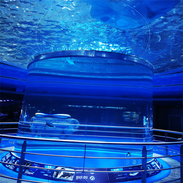 Design de Aquário Cilíndrico de Acrílico Grande