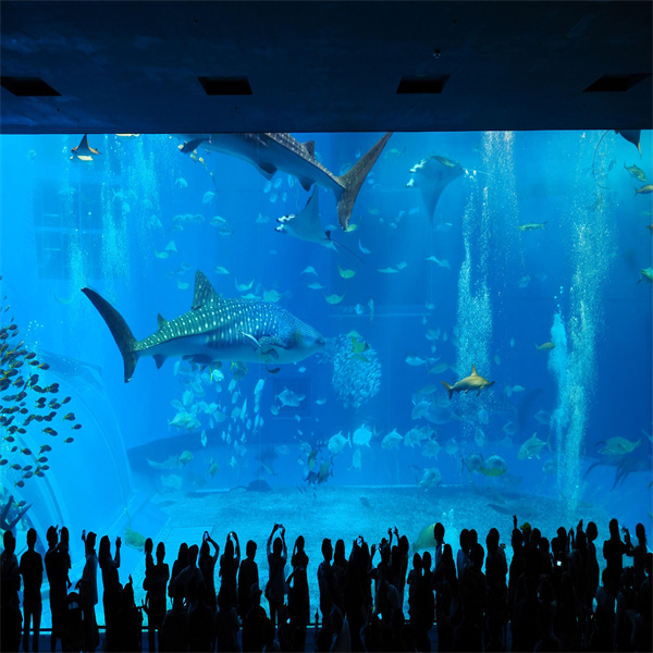 Gabay sa Aquarium Project