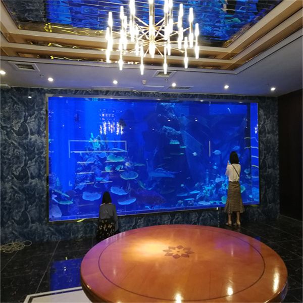 Millora la teva experiència aquàtica amb un dipòsit d'acrílic personalitzat