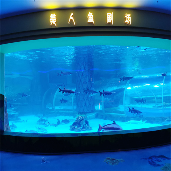 حوض أسماك أكريليك يحتوي على كل شيء.