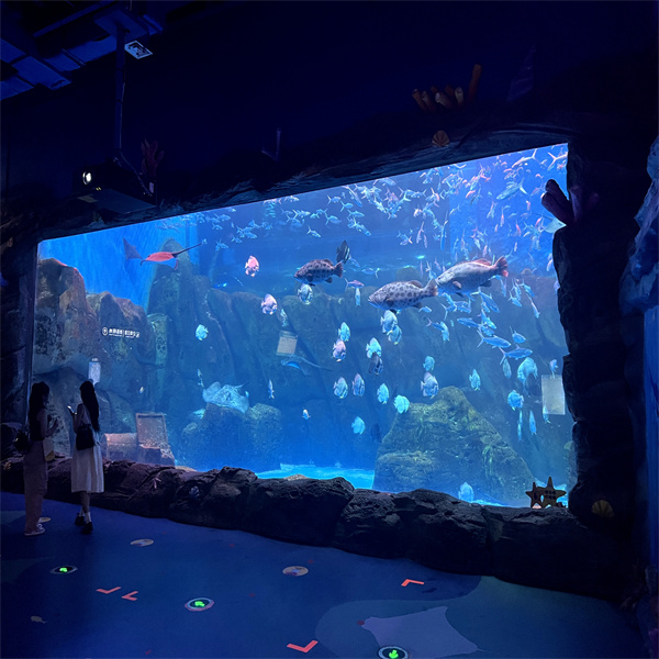 Personalitza el teu paradís aquàtic amb un tanc de làmina d'acrílic per a peixos