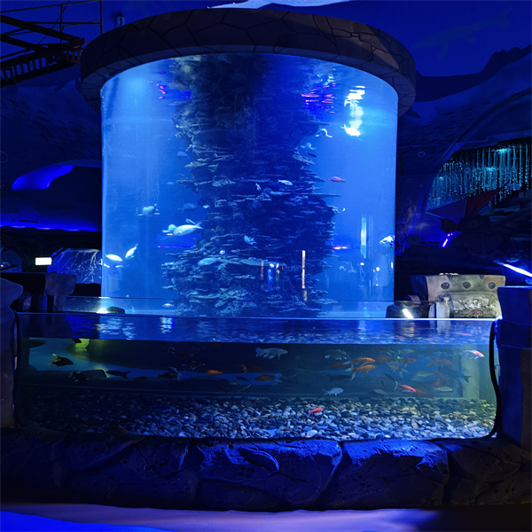 Memperbaiki Akuarium Ikan Bundar Anda untuk Membuat Susunan yang Megah