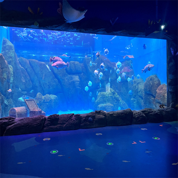 Tips til opsætning af et fantastisk stort cylinderakvarium derhjemme