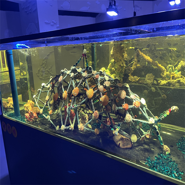 Els beneficis d'escollir un dipòsit d'acrílic personalitzat per als teus animals aquàtics