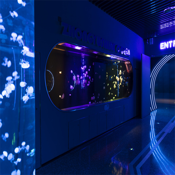 Deixa saír a Túa Lado Creativo coos Acuarios Cilíndricos