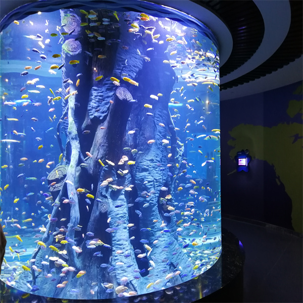 우수한 실린더 어항으로 집 장식을 업그레이드하세요