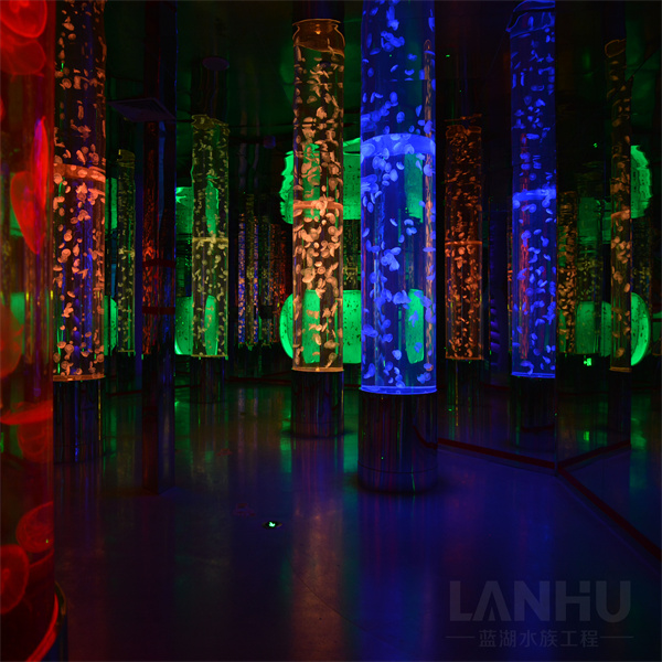 Aquário Cilíndrico - Melhores Aquários Para Redecorar o Seu Espaço de Vida