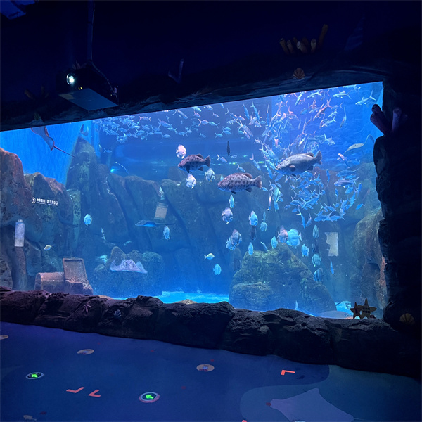 Feuilles acryliques pratiques et polyvalentes pour votre aquarium