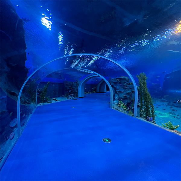 Svedectvo krásy morského života zblízka v akváriovom tuneli
