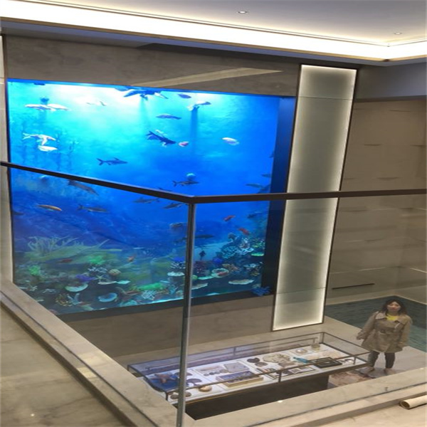 Het onderhouden van een schoon en helder acryl aquarium