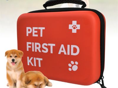 Key Features to Look for in a High-Quality First Aid Kit