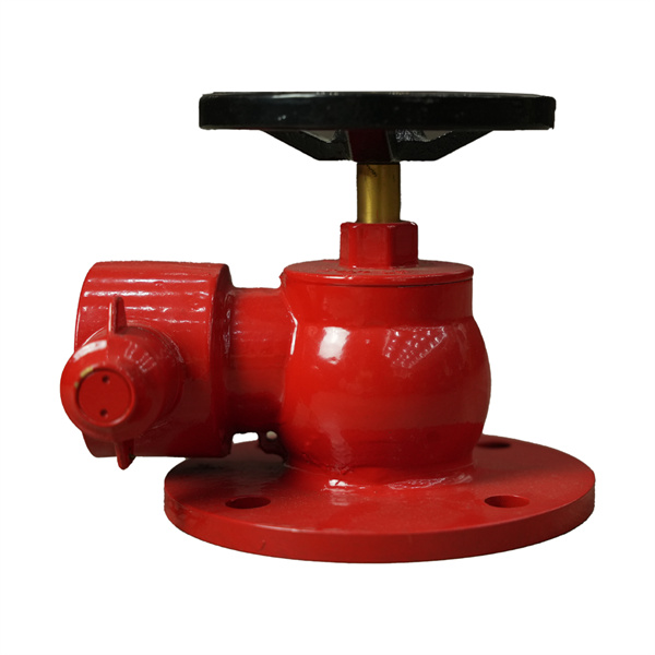 Tips perawatan untuk menjaga moncong hydran dalam kondisi terbaik