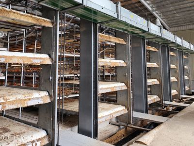Why Investment in Modern Poultry Equipment Pays Off
