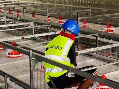 Whats the investment of fully automatic broiler farming equipment for 100,000 heads?