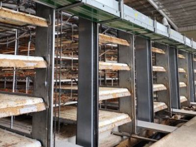 Why Modern Poultry Cages Can Reduce Broiler Feed Conversion Ratio?