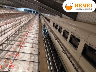 Whats the advantage of poultry broiler cage equipment with tunnel ventilation ?