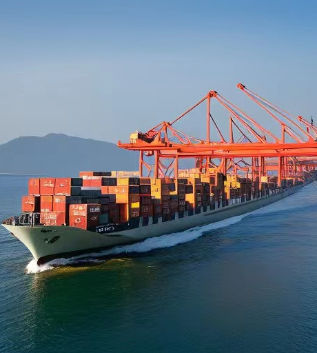 Experience Seamless Sea Freight with Wendao's Expertise