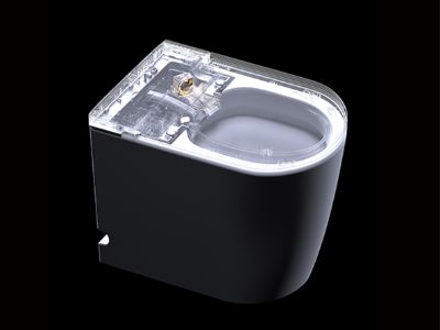 Smart WCs and the Future of Home Automation