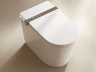Why Smart Toilets Are the Future of Bathroom Technology