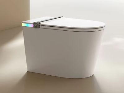 Custom Smart WC for Your Project: OEM & ODM Options