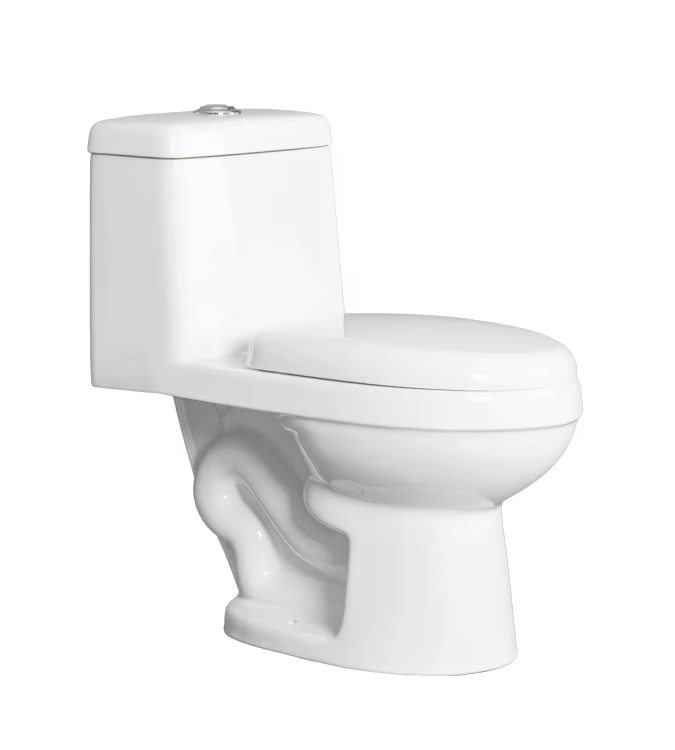 The Aidibath One Piece Toilet: A Bathroom Upgrade