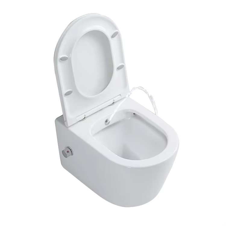 What is a wall hung toilet for bathroom?