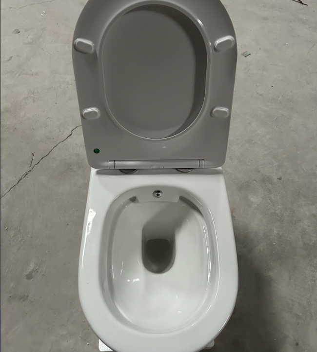 Experience the Comfort and Convenience of Aidibath High-performance Wall Hung Toilets