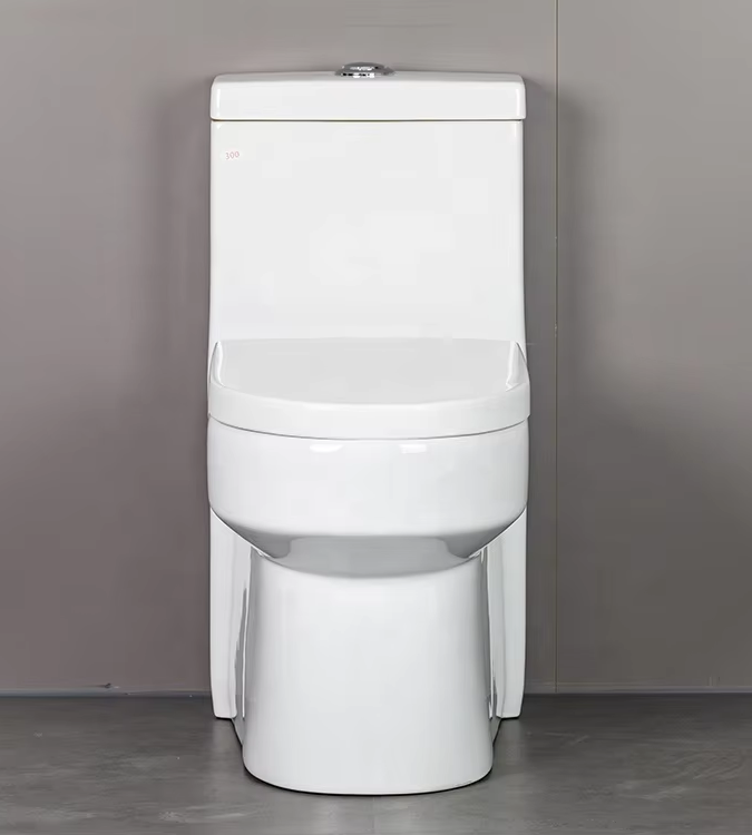 Aidibath Floor Mounted Toilets: A Symbol of Sophistication