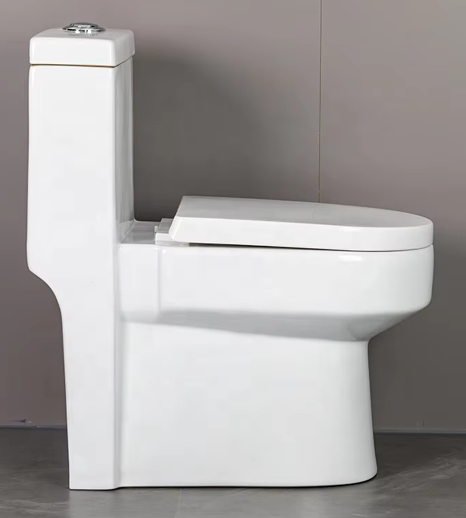 Aidibath Floor Mounted Toilets: Engineered for Longevity and Style