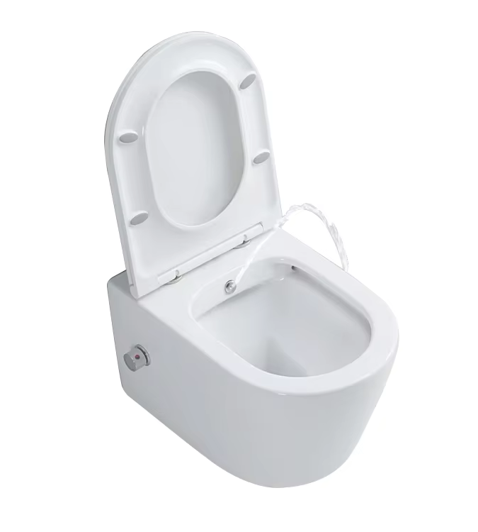 Innovative Wall Hung Toilet Solutions from Aidibath: Setting New Standards in Bathroom Design