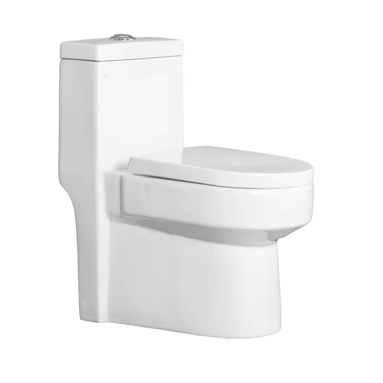 What is a floor mounted toilet?