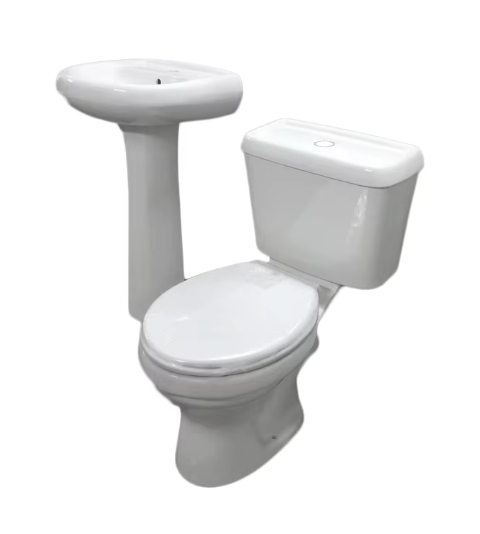 Aidibath Floor Mounted Toilets: Combining Style and Functionality for Your Bathroom