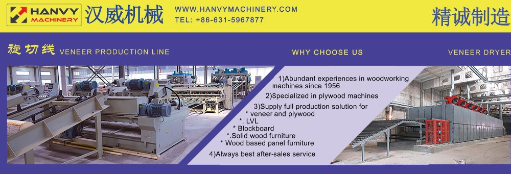 Wood sanding Machine wide Belt Sander BSG2713C supplier