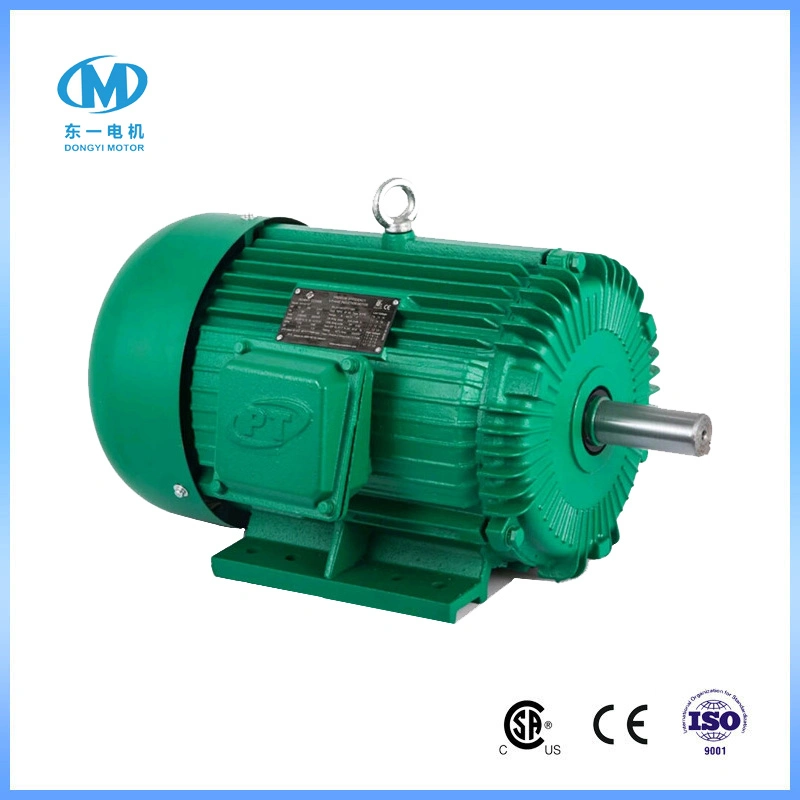 NEMA Design B Premiun Efficiency 1HP ~ 500HP AC Three Phase Motor